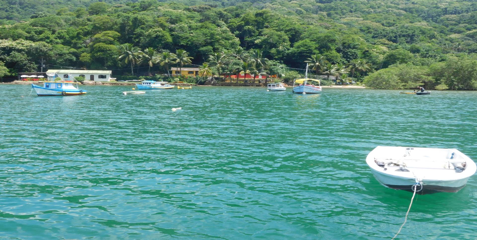 playa del Dentista